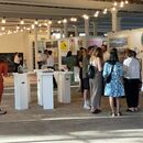 New Light Summer Exh