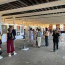 New Light Summer Exh