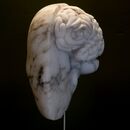 stone carving of half brain and half face