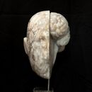 half brain and half face carved in stone
