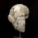 half brain and half face carved in stone