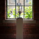 New Light Summer Exh 24