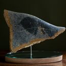 a tropical fish made of stone