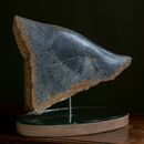 a tropical fish made of stone