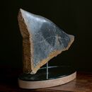 a tropical fish made of stone