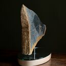 a tropical fish made of stone