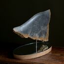 a tropical fish made of stone