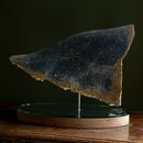 a tropical fish made of stone