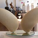 two shells carved in stone