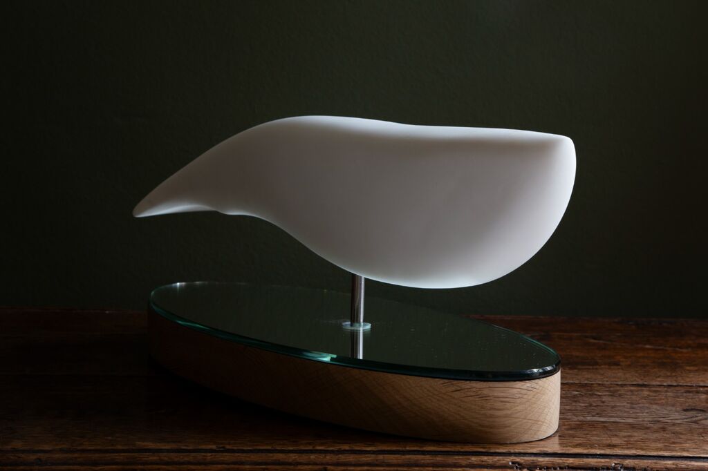 White Whale 14