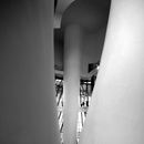 guggenheim13