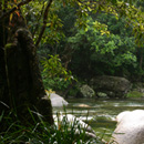 mossman gorge