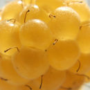 yellow raspberries
