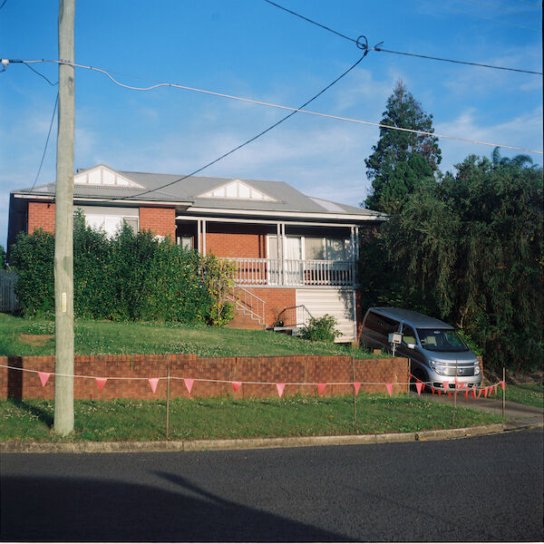 Golden hour, Telopea