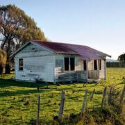 Abandoned farm, Gisborne, NZ