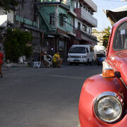 Backstreet beetle, Bicutan