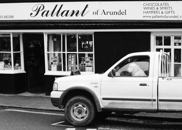 Woof, Arundel
