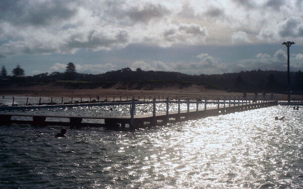 Swimmer, Narrabeen