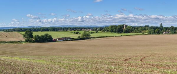 Local Views in Panorama