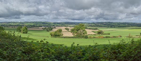 Looking North from Wenlock Edge