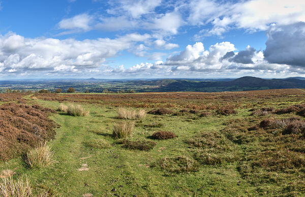 On LongMynd looking West