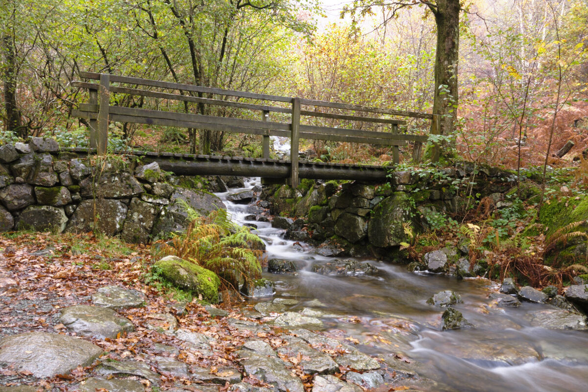 Footbridge over Flowing Stream Cumbria