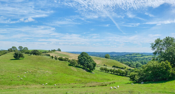 View of rural Pastures in Shropshire