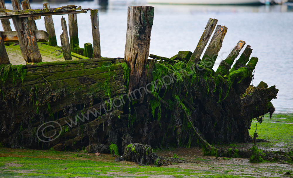 The bow of the wreck of the William Allen