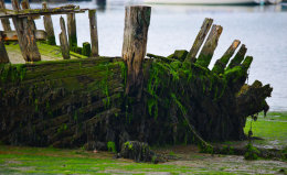 The bow of the wreck of the William Allen