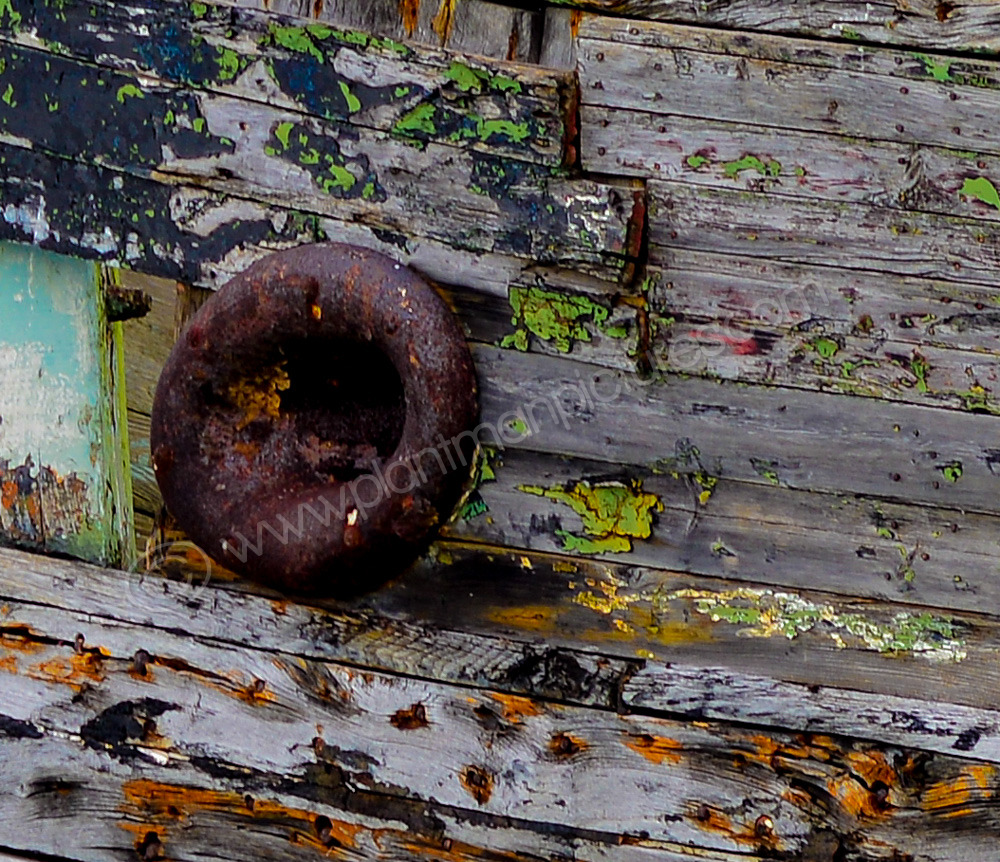 Detail of William Allen a wreck on the River Hamble