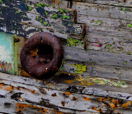 Detail of William Allen a wreck on the River Hamble