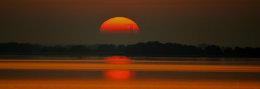 Sunrise over the Mangroves