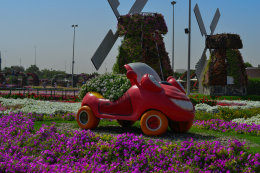 Windmills and Car with flowers