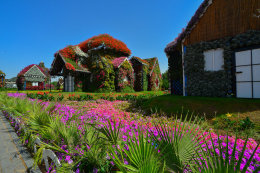 Flower House