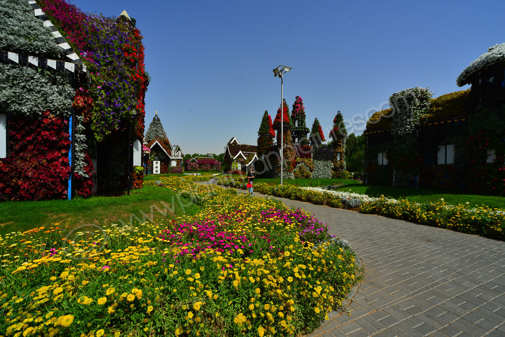 Flower Gardens, Flower Houses