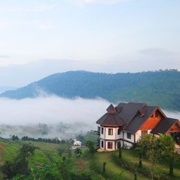 Mist
