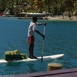 Bananas for the yachts .Margot bay St Lucia