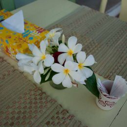 Table setting