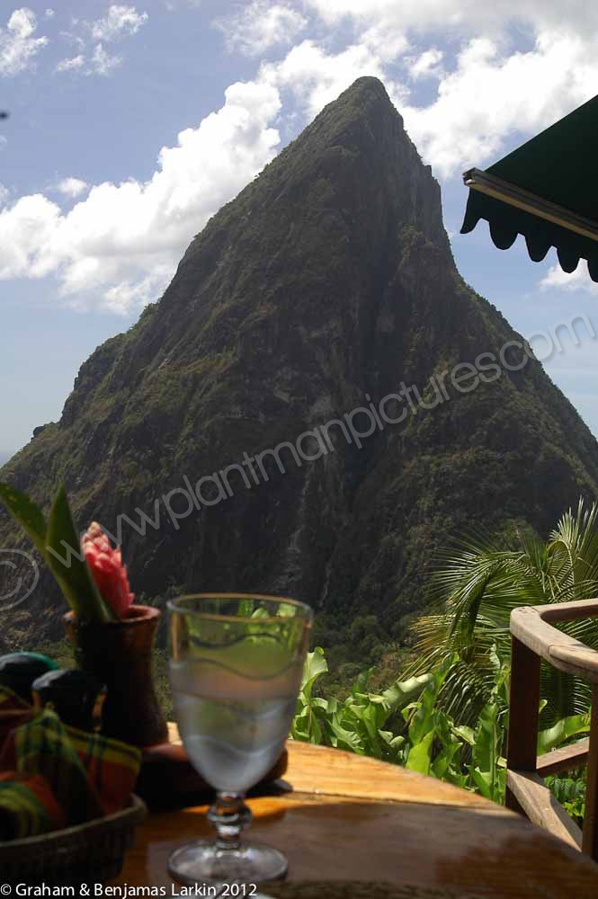 One of the two Piton mountains from the Dashine Restaurant