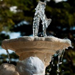 Fountain water in motion