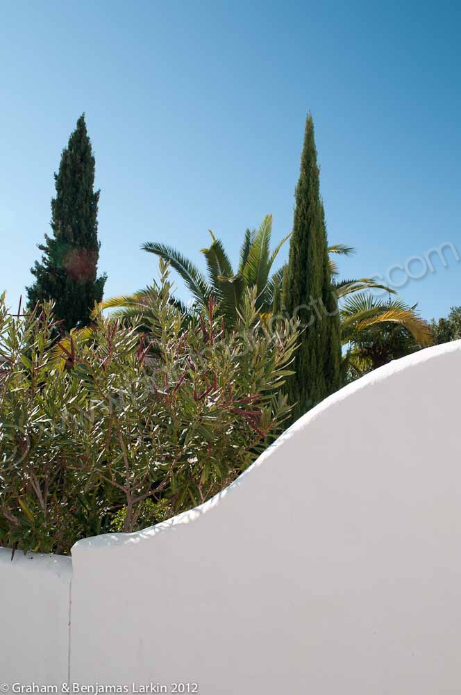 Spanish garden View