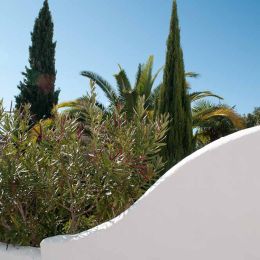 Spanish garden View