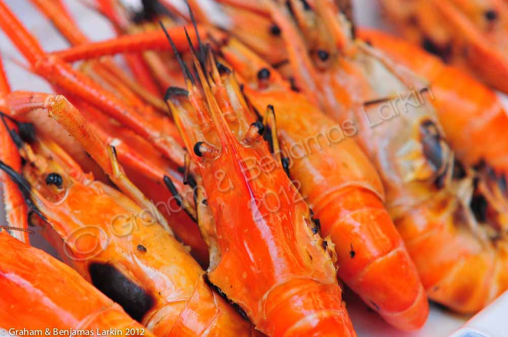 Grilled Prawns