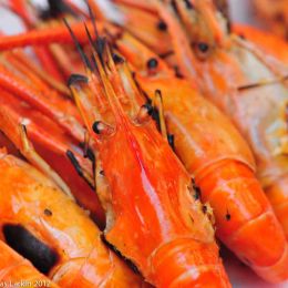 Grilled Prawns