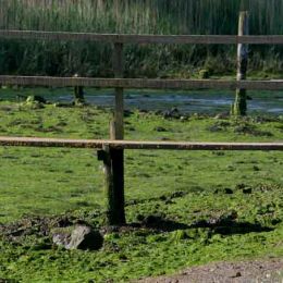 Foot Bridge by the river Hamble