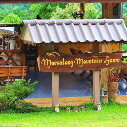 Guest House