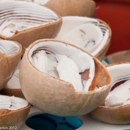 Coconuts ready for the ice cream