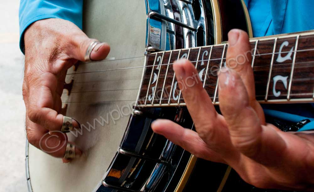 Bluegrass Banjo Player