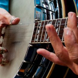 Bluegrass Banjo Player