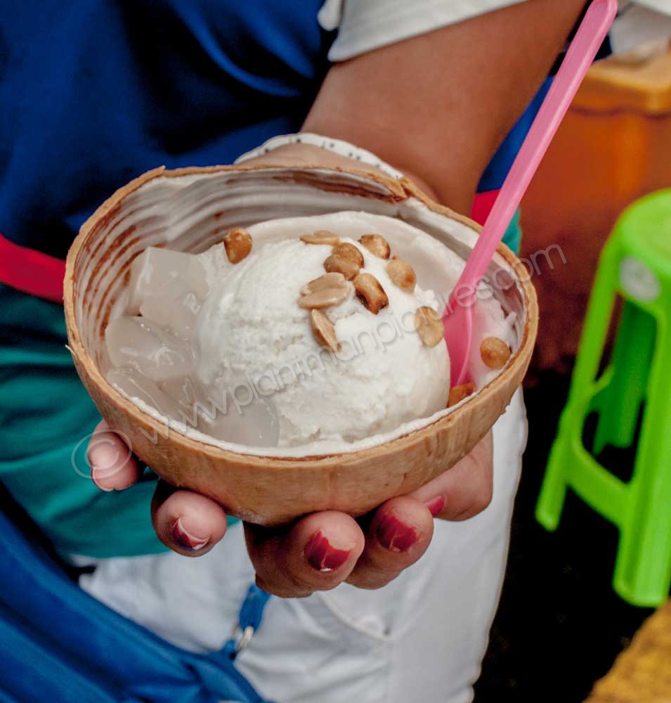 Ice cream in Coconut Shell